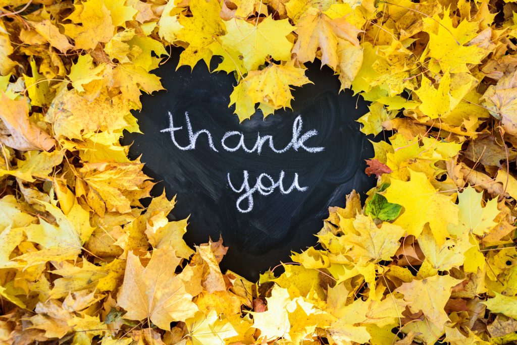 Blackboard with frame of leaves in heart shape. Word THANK YOU is written there. Thanksgiving concept