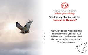 What Kind of Bodies Will We Possess in Heaven? Infographic